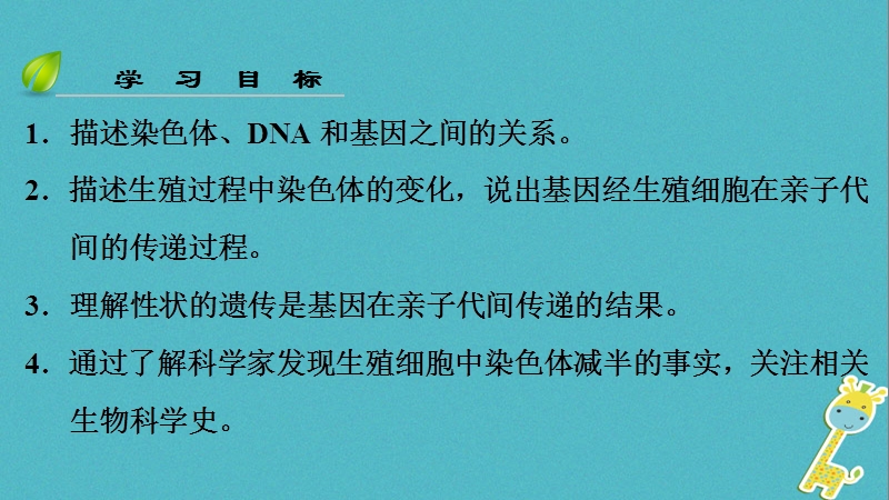 （深圳专用）2018八年级生物下册 第七单元 第二章 第二节 基因在亲子代间的传递课件 （新版）新人教版.ppt_第3页