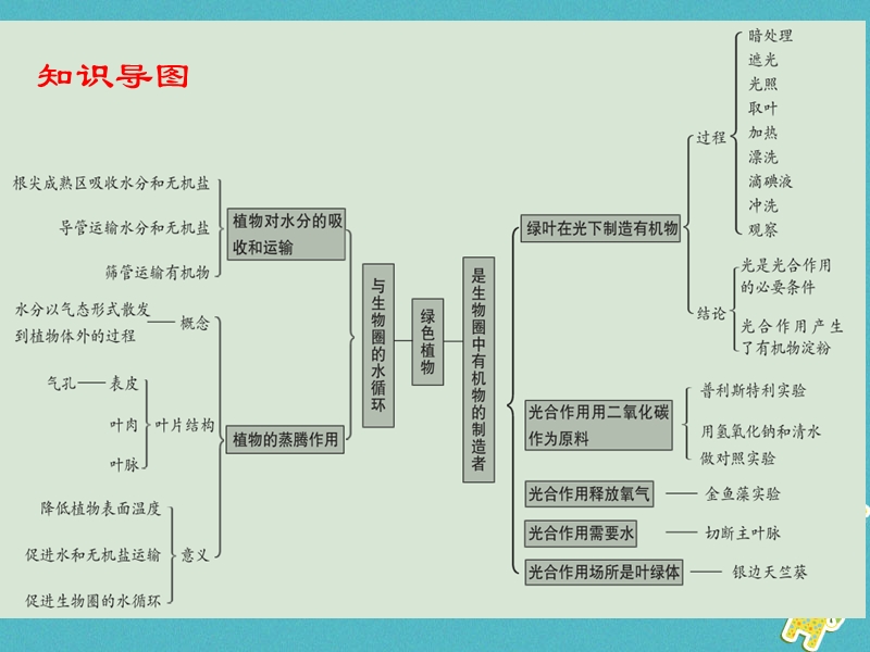 广东省2018年度中考生物 第三单元 生物圈中的绿色植物 第三章 第四章 绿色植物与生物圈的水循环 光合作用的相关实验课件.ppt_第3页