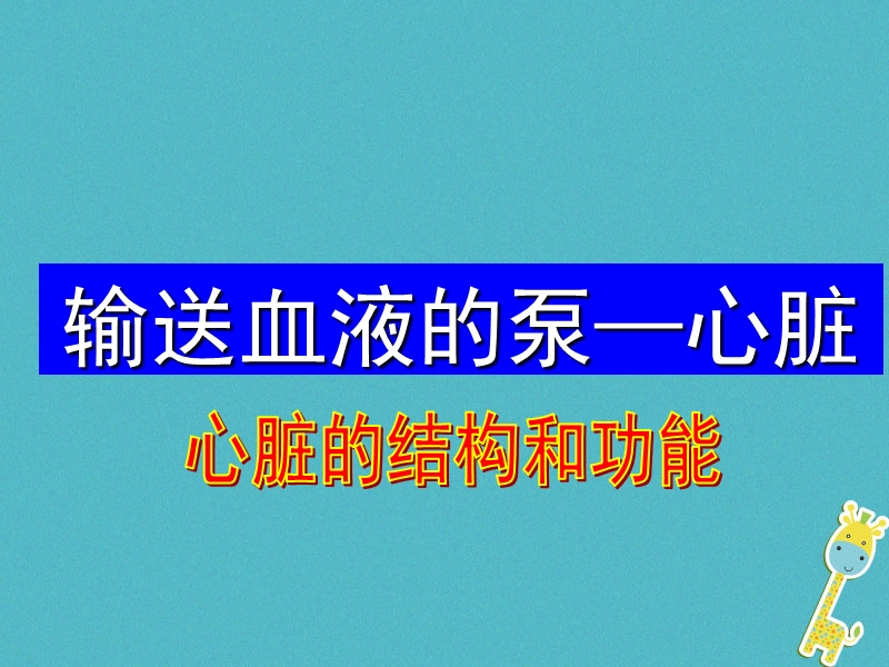 七年级生物下册 第4单元 第4章 第3节 输送血液的泵—心脏课件 （新版）新人教版.ppt_第3页