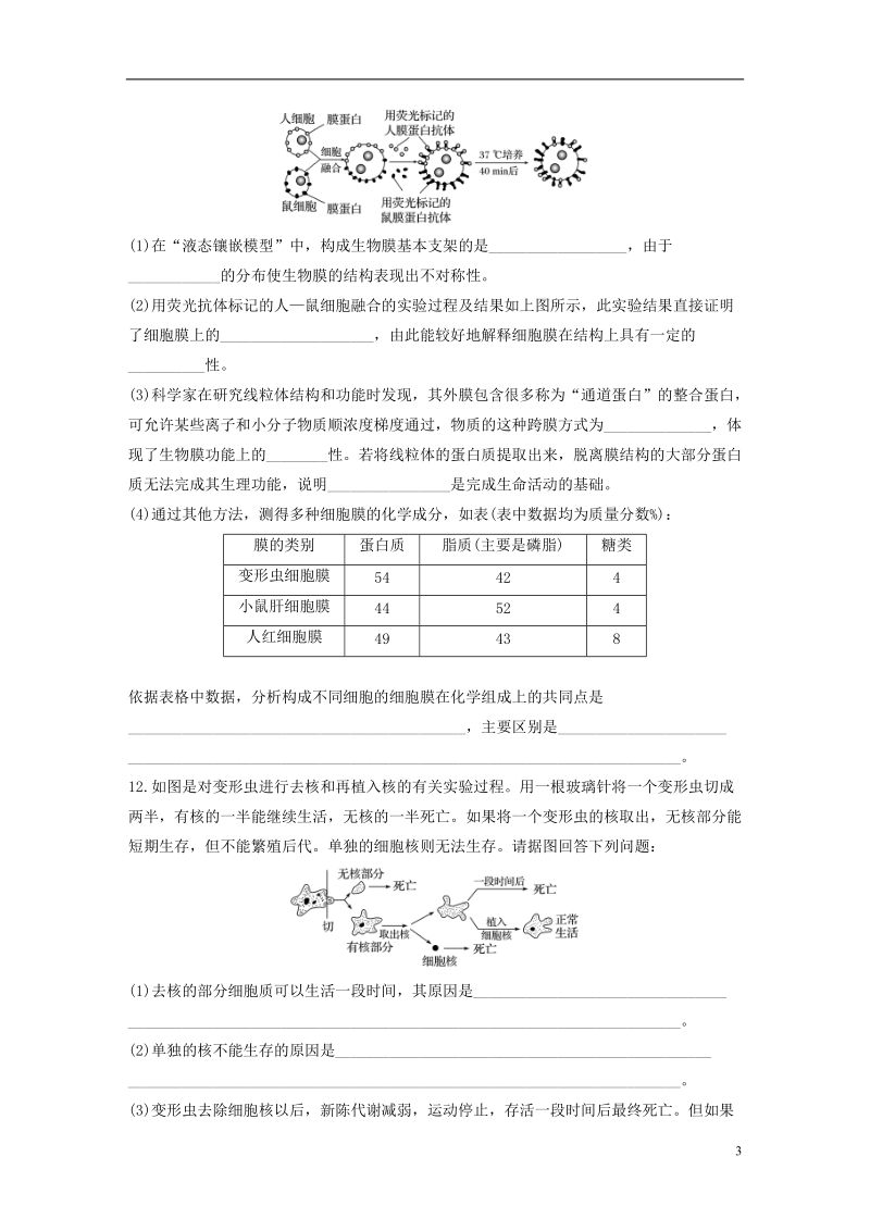 2019版高考生物 重点强化练 第8练 从结构与功能的关系理解细胞膜、细胞核 北师大版.doc_第3页