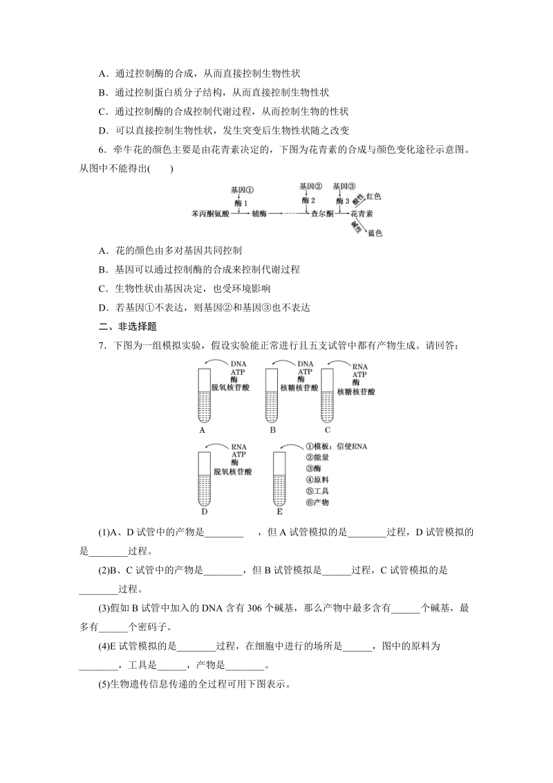 2016年人教版必修2 课时跟踪检测(十一) 基因对性状的控制.doc_第2页