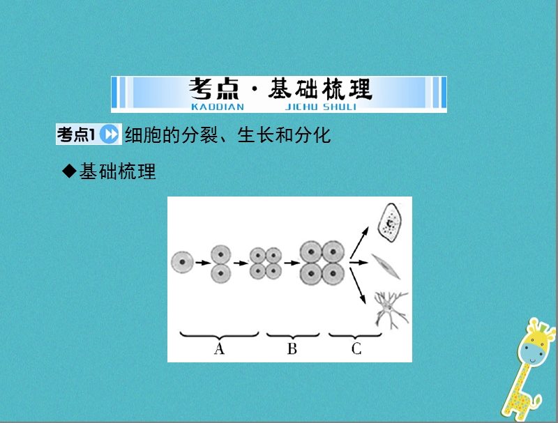 2018年中考生物 考点梳理 第一轮 第一章 第二讲 细胞怎样构成生物体课件.ppt_第3页