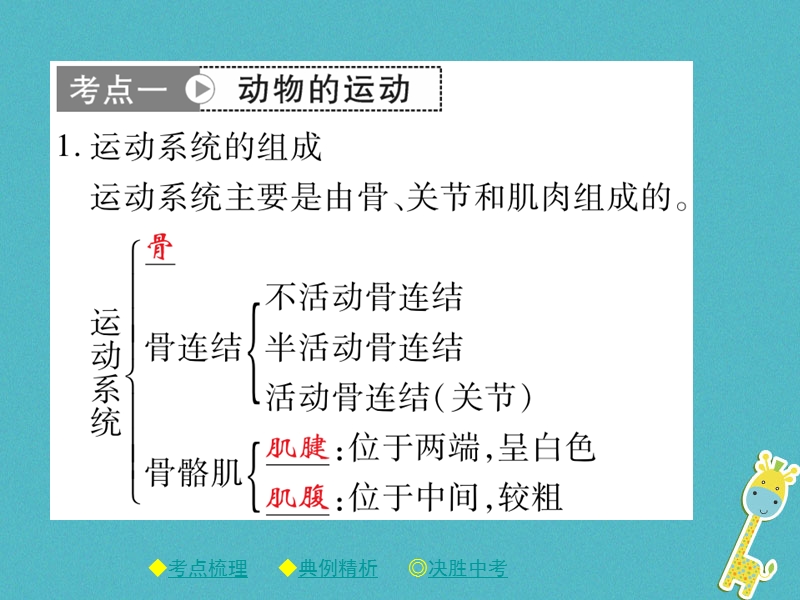 2018年中考生物总复习 专题突破五 动物的运动和行为 第2讲课件.ppt_第2页