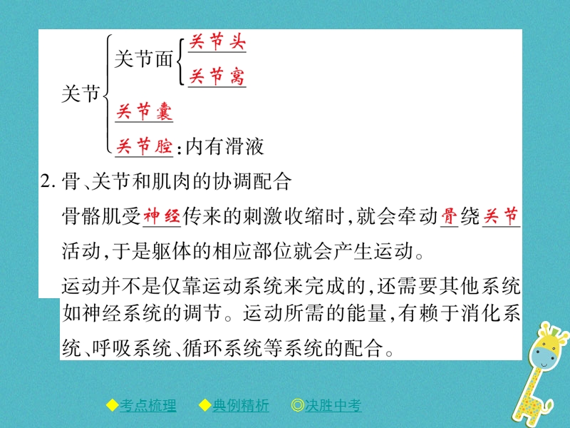 2018年中考生物总复习 专题突破五 动物的运动和行为 第2讲课件.ppt_第3页