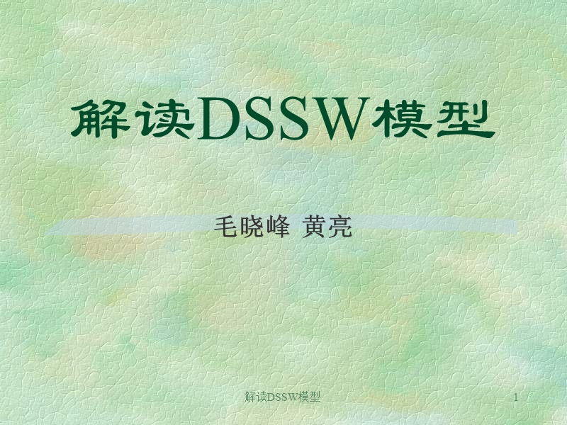 解读dssw模型(毛晓峰).ppt_第1页