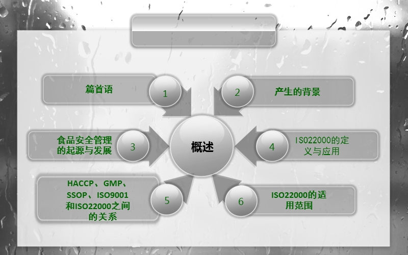 iso22000食品安全管理体系.ppt_第3页