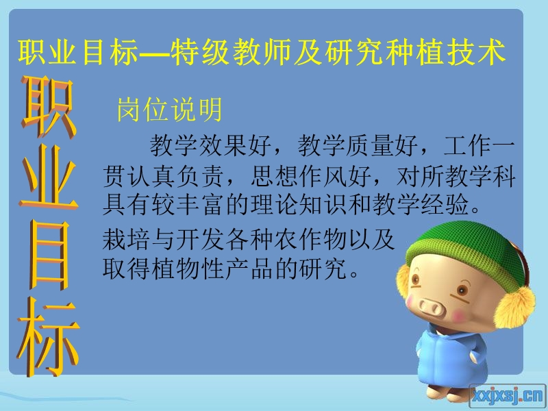 5年的职业生涯规划.ppt_第3页