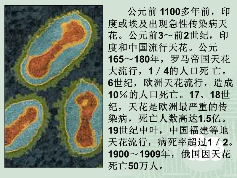 传染病模型.pptx_第3页