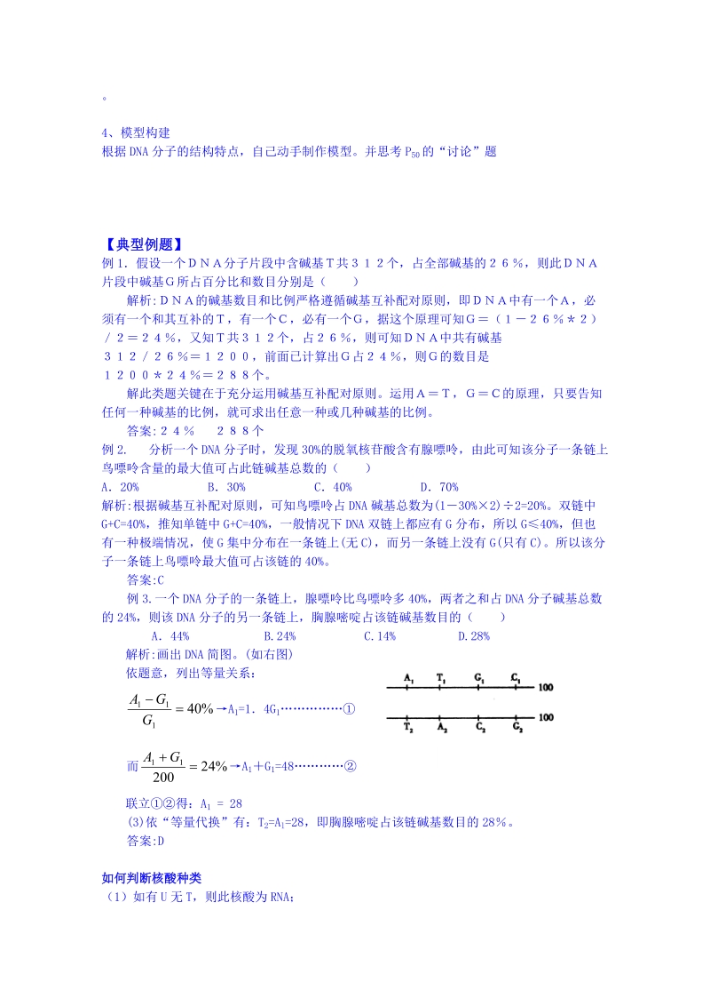 人教版高中生物必修二教案：3.2DNA分子的结构.doc_第3页