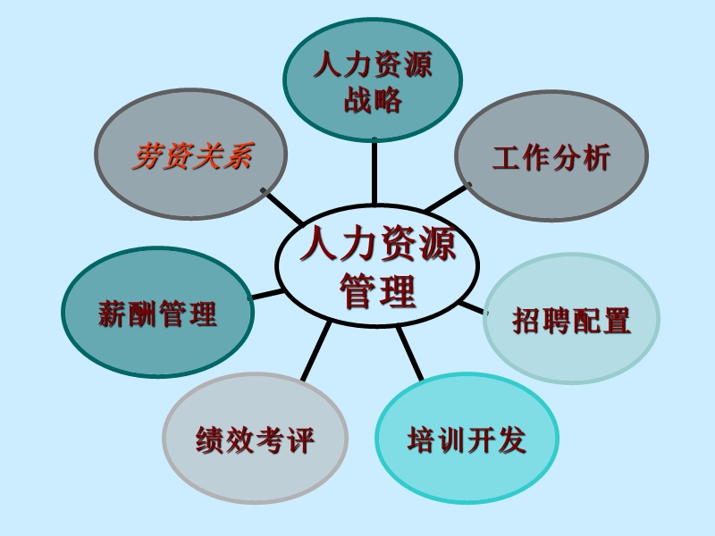 劳动政策法规.ppt_第3页