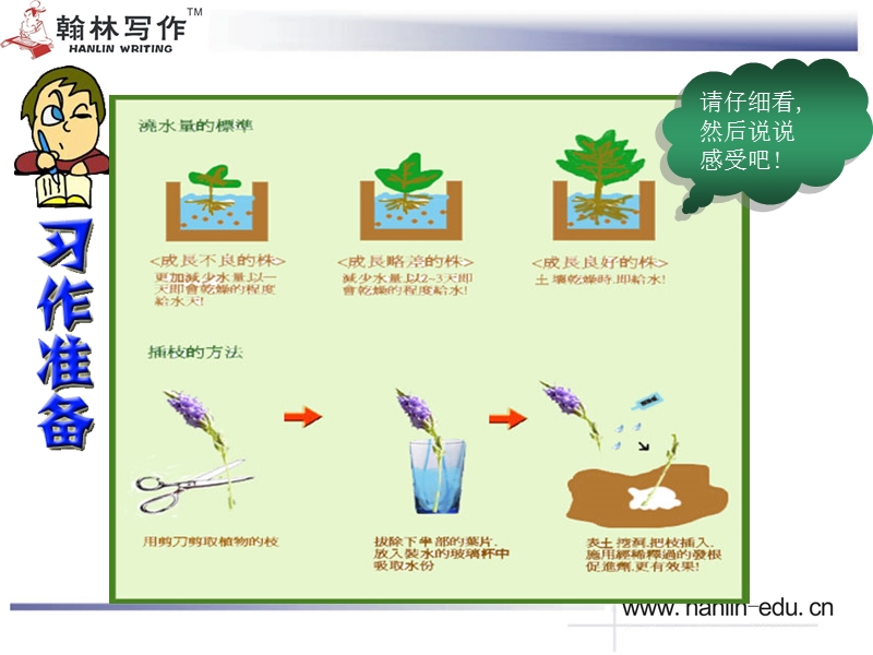 《-----的自述》(第十一课).ppt_第3页