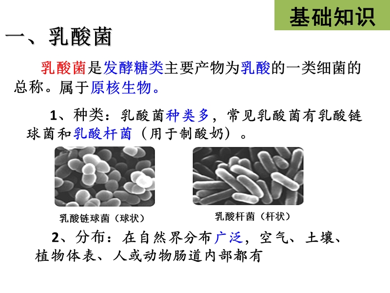 课题3泡菜的制作.pptx_第2页