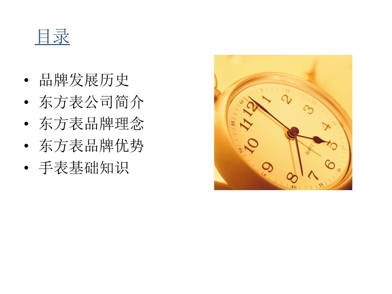 东方表培训手册.ppt_第2页