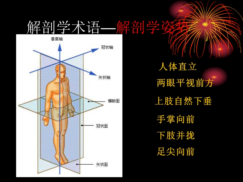 第二节-x线摄影常用的术语.ppt_第2页