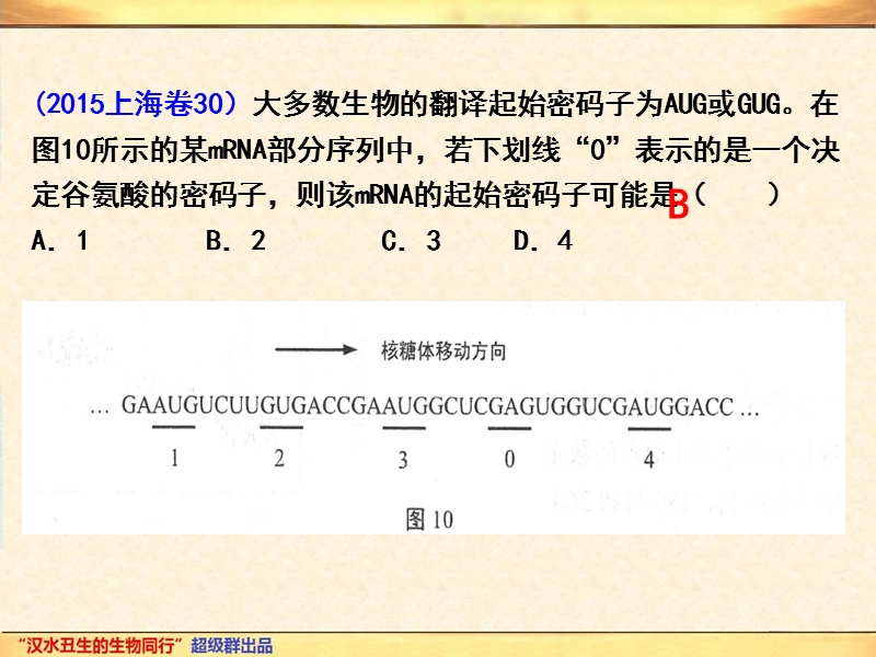 2015年高考真题分类汇编精编课件必修二-第4章--基因的表达--第1节-基因指导蛋白质的合成.ppt.ppt_第2页