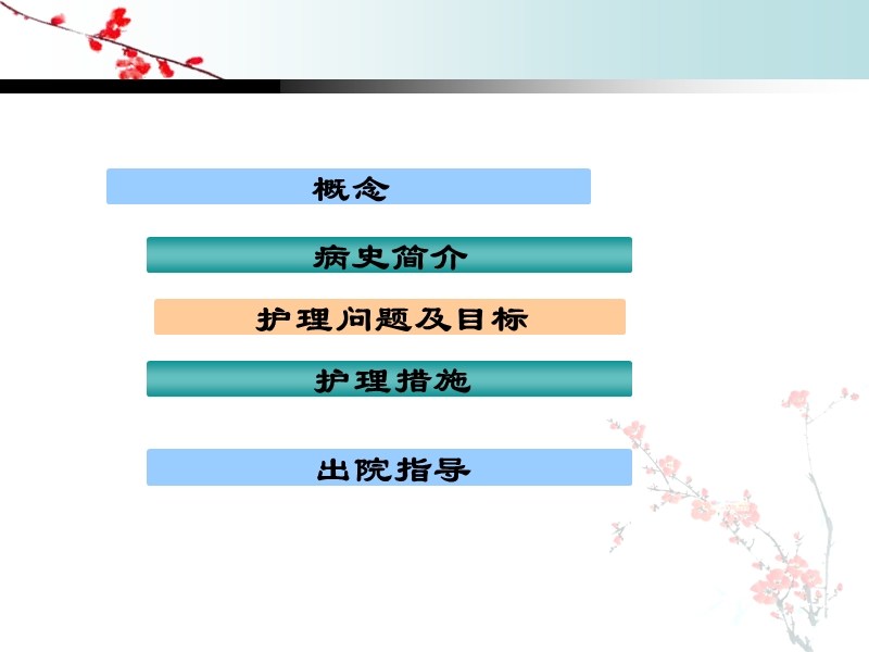 护理查房直肠前突.ppt_第2页