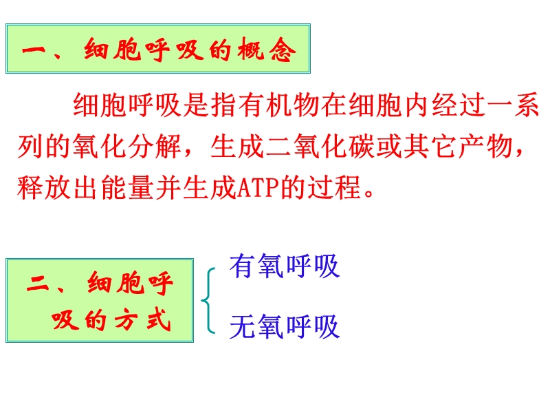 atp的主要来源——细胞呼吸课件.ppt_第2页