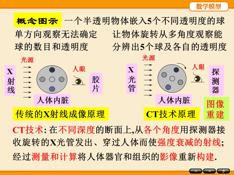 m06-分组的人口模型.ppt_第3页