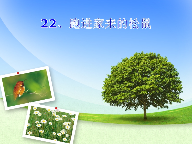 22跑进家的松鼠、.ppt_第1页