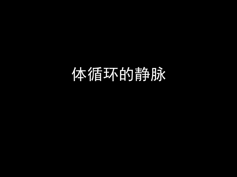 体循环的静脉.ppt_第1页