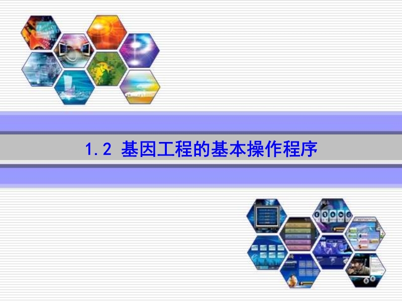 《-基因工程的基本操作程序》.ppt_第1页