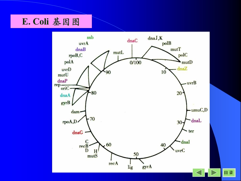 第三章复制.ppt_第3页