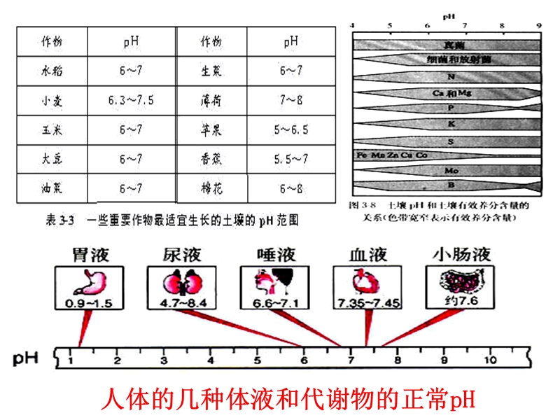 高二化学-ph的应用课件.ppt_第3页