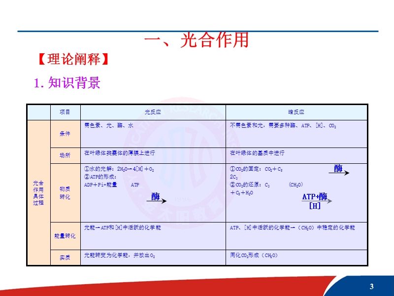 讲座2--光合作用与细胞-呼吸综合题的解题方法.ppt_第3页