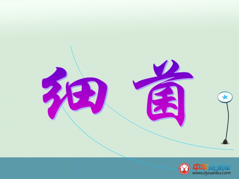 江西宜春八中八年级生物上册课件：细菌(河北少儿版).ppt_第1页