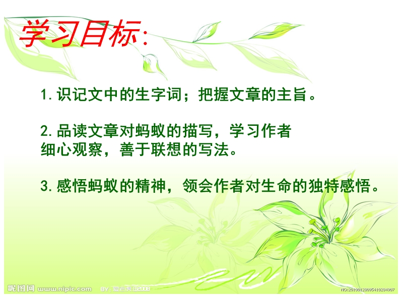 《蚂蚁》新课件.ppt_第2页