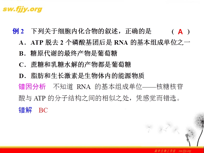 《金牌学案》2012届高考生物二轮专题复习课件：考前冲刺-专题三-1、分子与细胞的易错问题分类剖析.ppt_第2页