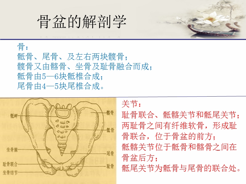 骨盆骨折护理.ppt_第2页