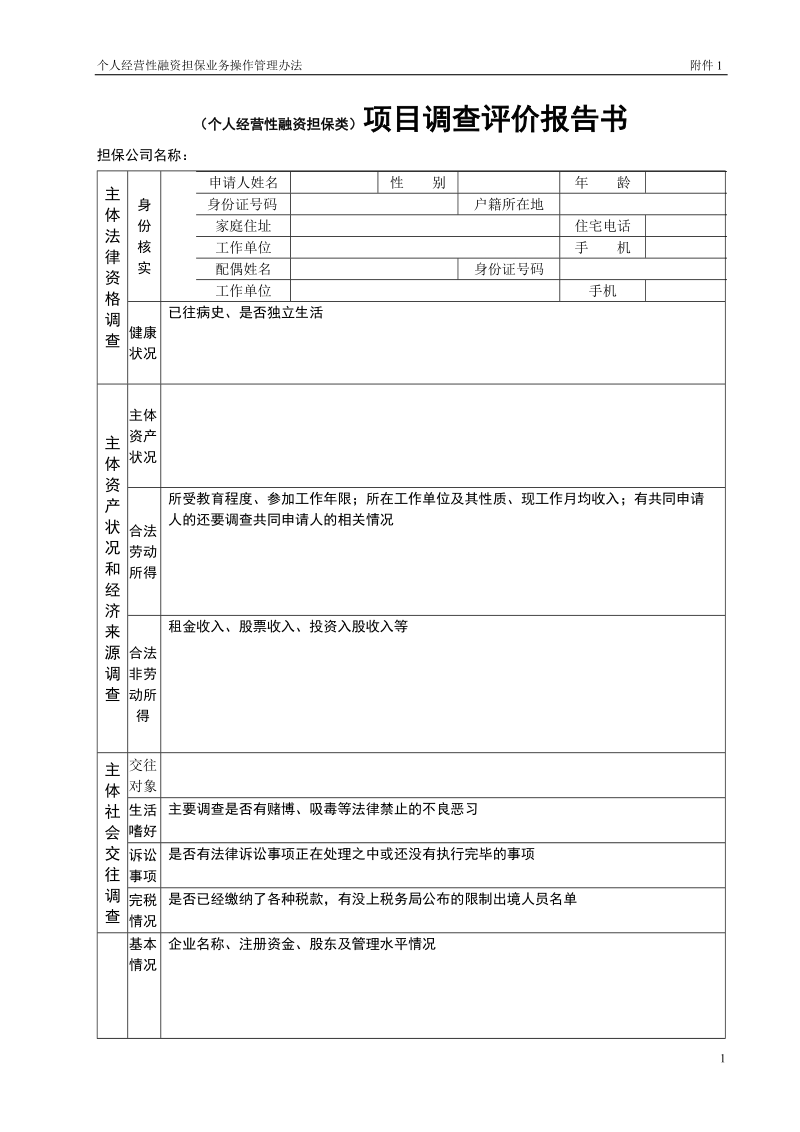 附件1 （个人经营性融资担保类）项目调查评价报告书.doc_第1页