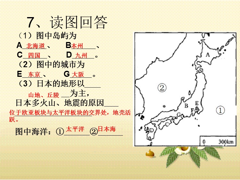 初一地理《俄罗斯》课件.ppt_第2页