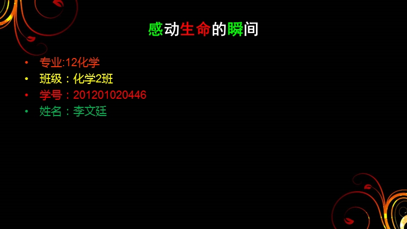 感动生命的瞬间.ppt_第1页