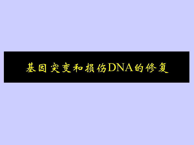 基因突变和损伤dna的修复.ppt_第1页