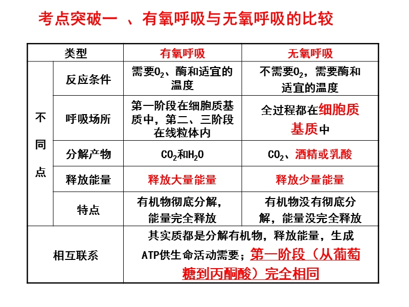 5.3.2-atp的主要来源——细胞呼吸.ppt_第2页