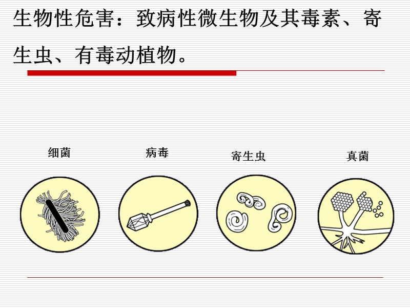 第三章-食品中的生物危害.ppt_第3页