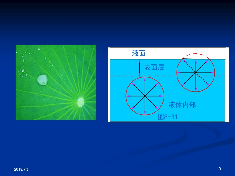 04-表面活性剂与药用高分子.ppt_第3页