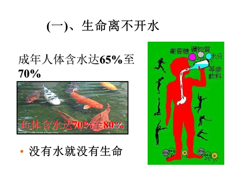 4.1爱护水资源课件.ppt_第3页