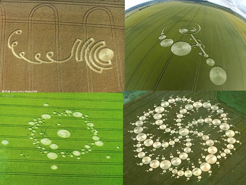 period3-crop-circle.ppt_第2页