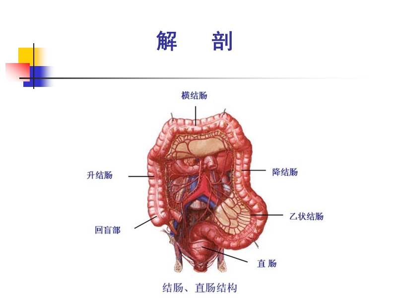 结肠直肠肛管疾病.ppt_第2页