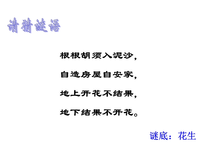 15---------落花生.ppt_第1页