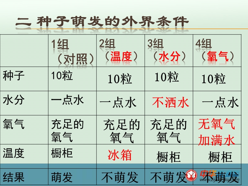 江西宜春八中八年级生物上册课件：种子萌发的条件(河北少儿版).ppt_第3页