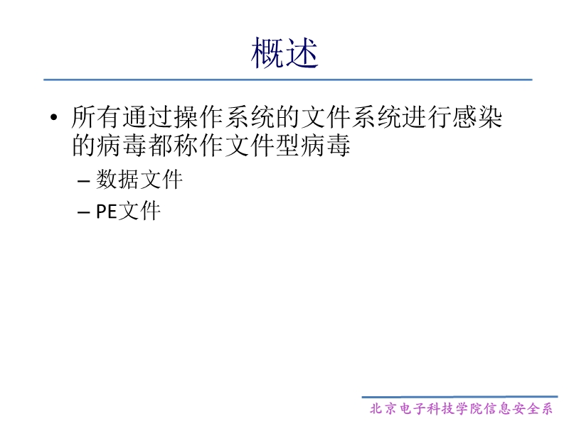 第5章-文件型病毒.pptx_第3页