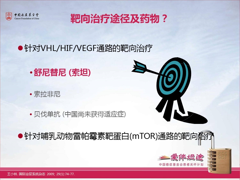 靶向药物副反应.ppt_第3页