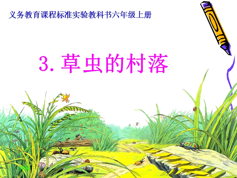 3草虫的村落课件(1).ppt_第1页