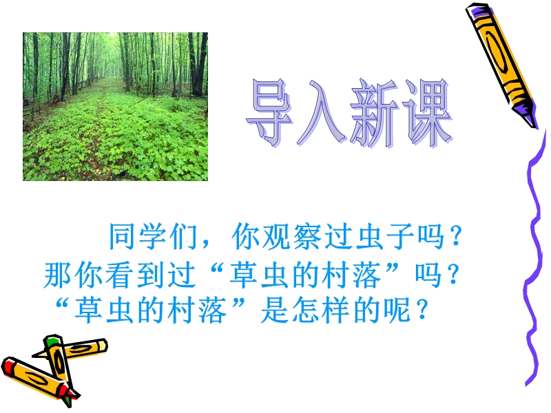 3草虫的村落课件(1).ppt_第2页