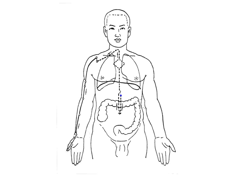 经络腧穴各论.ppt_第3页