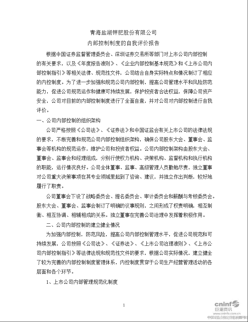 盐湖钾肥：内部控制制度的自我评价报告.ppt_第1页